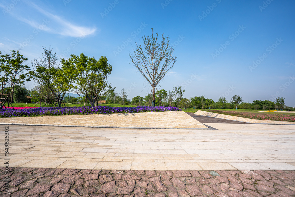 walkway in the garden