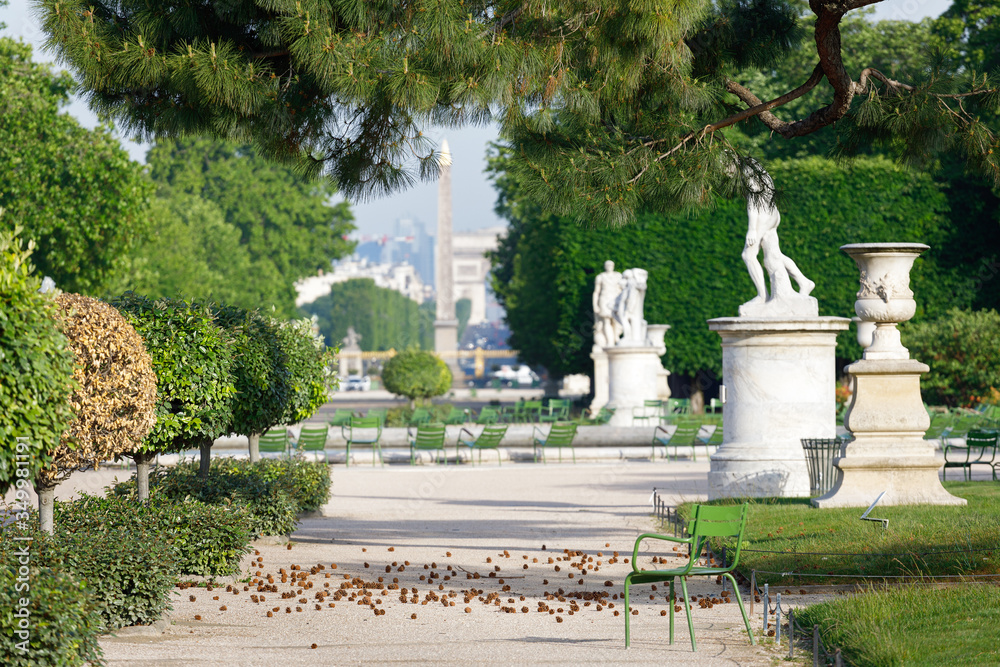 jardin tuileries