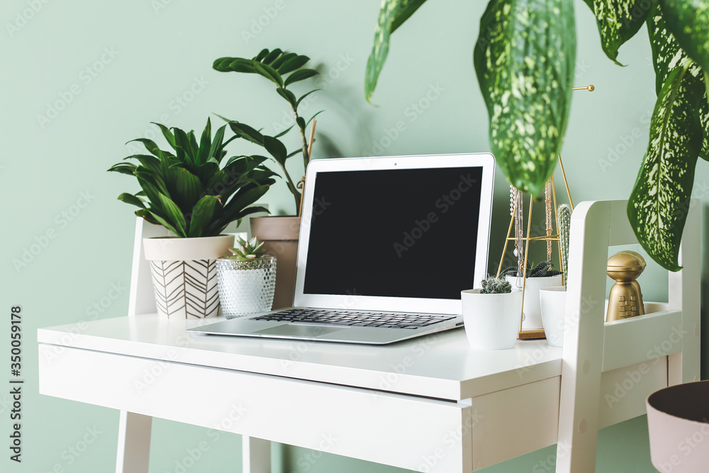 Comfortable workplace with modern laptop and houseplants near color wall