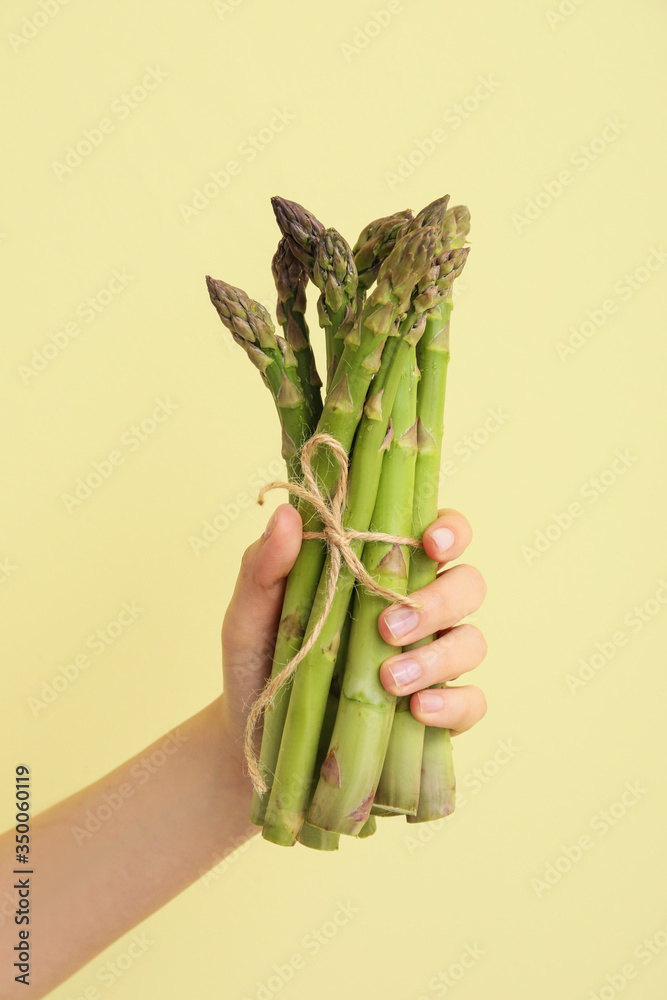 Hand with fresh asparagus on color background