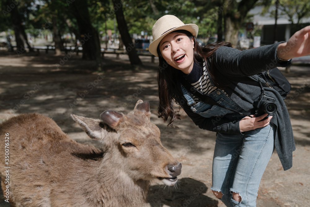 happy asian girl is taking selfie with a deer in nara park. female sightseer bending over a cute ani