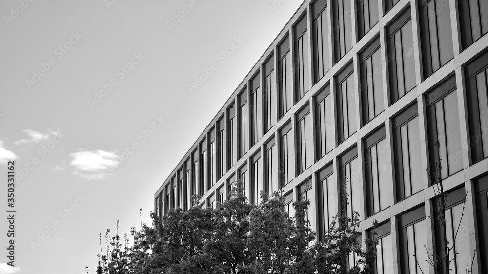 The windows of a modern building for offices. Business buildings architecture. Black and white.