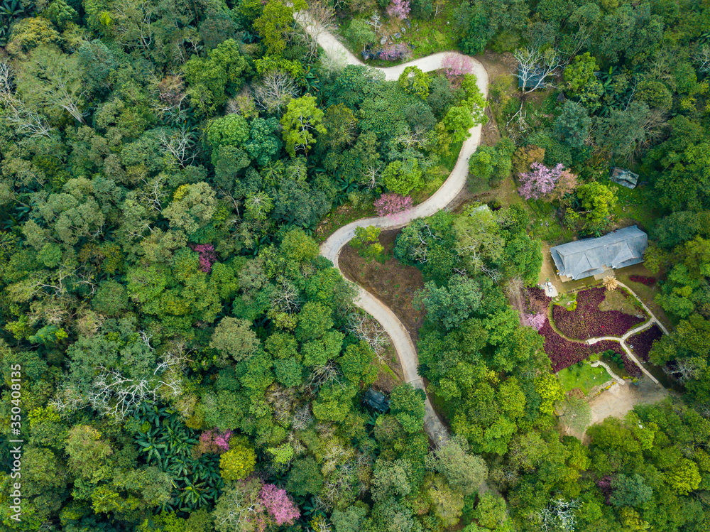 穿过Thaila北部高山森林的弯曲道路鸟瞰图