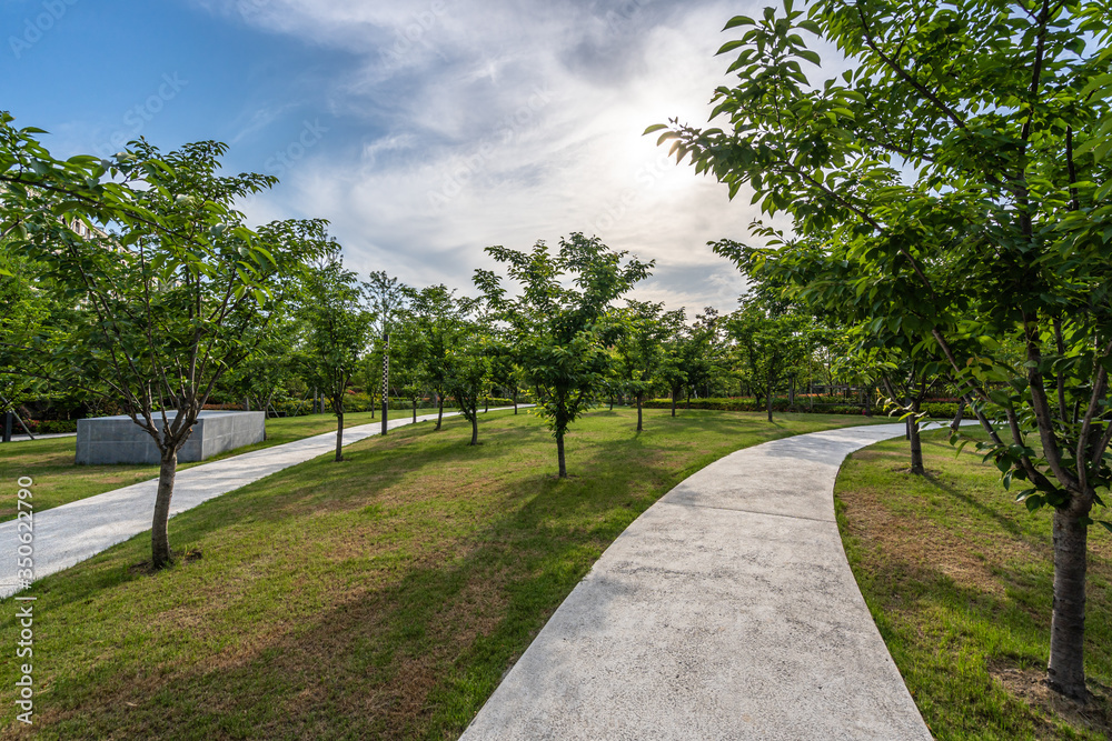 公园道路