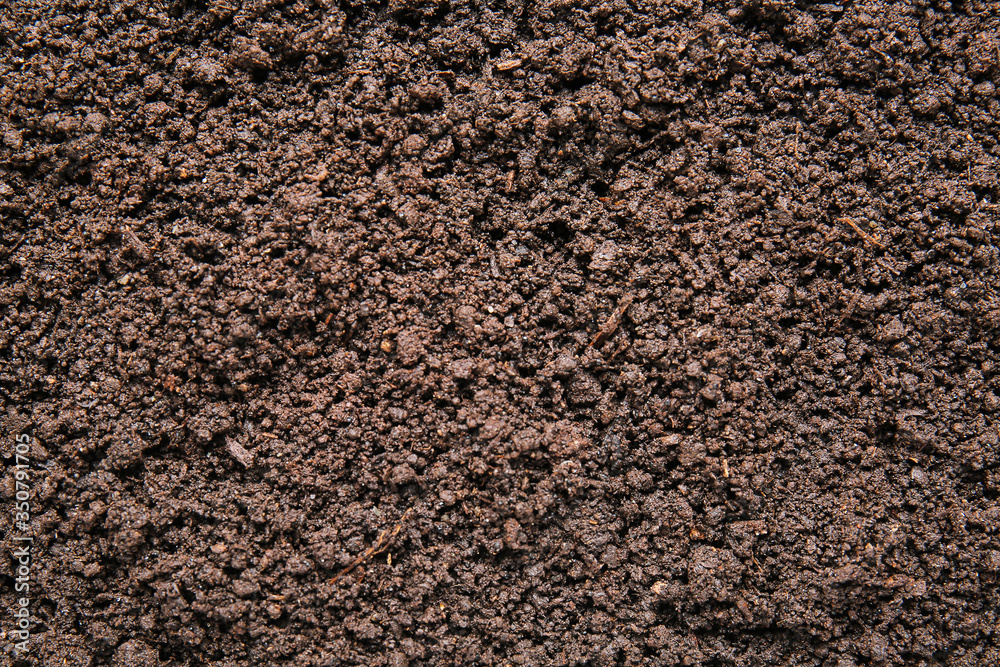 Texture of soil as background