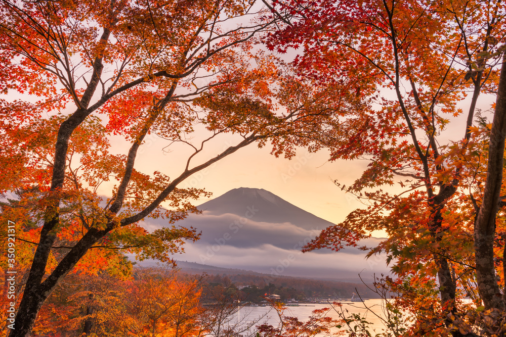 从山中湖看日本富士山