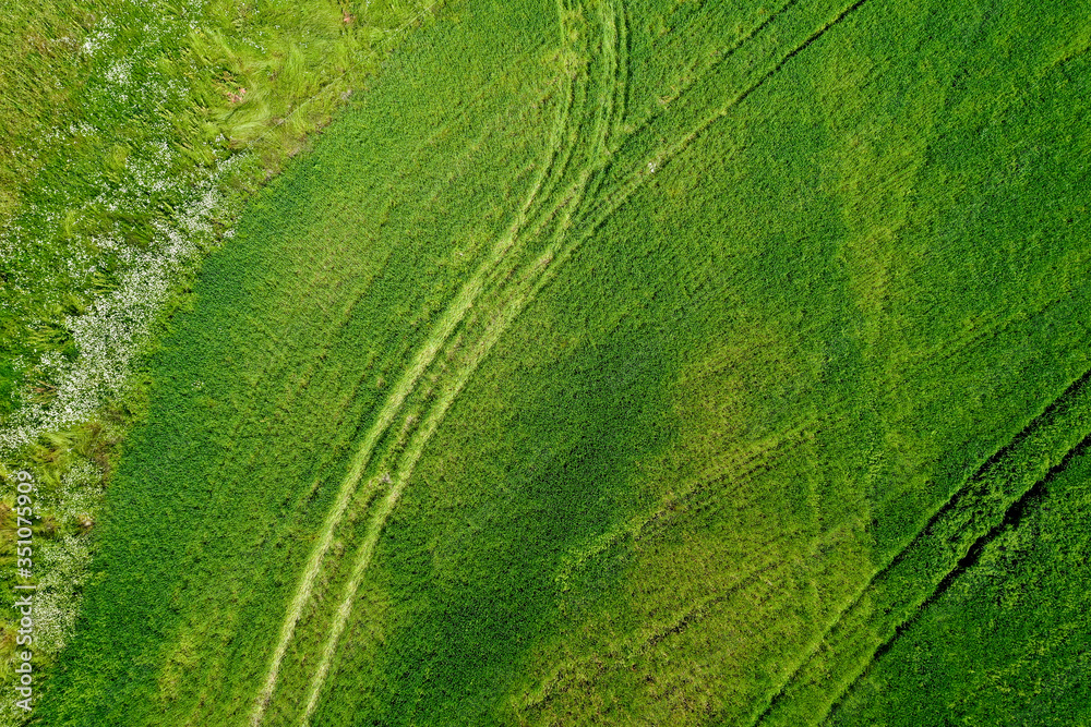 Tractor tracks in grass