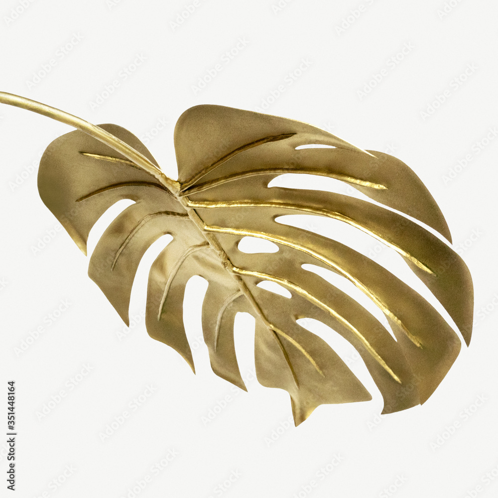 Golden monstera leaf on a white background mockup