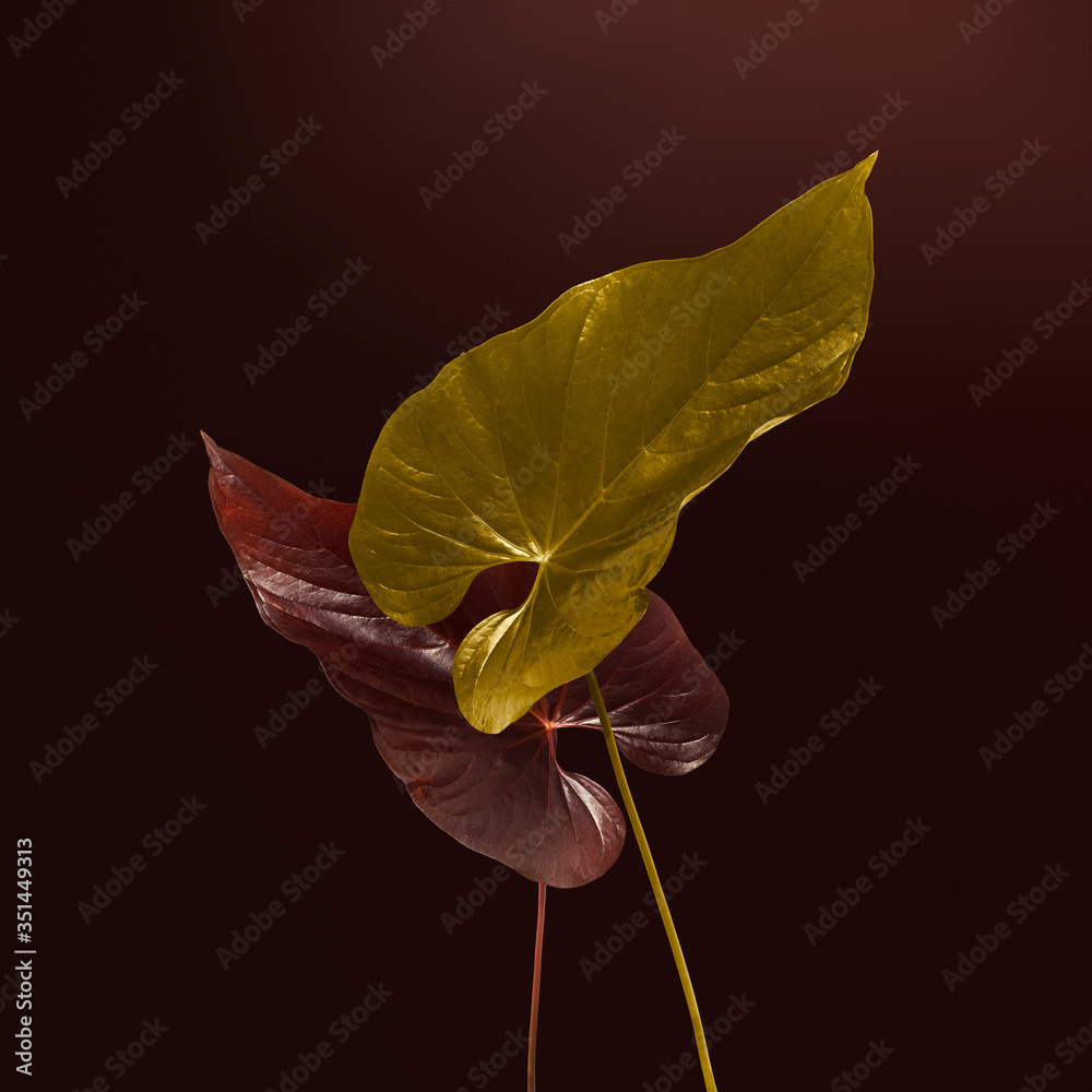 Heart shaped gold and brown Alocasia leaves mockup