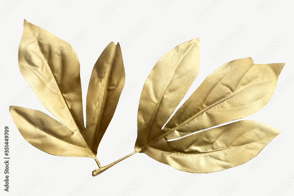 Shiny golden Maple leaves isolated on background mockup