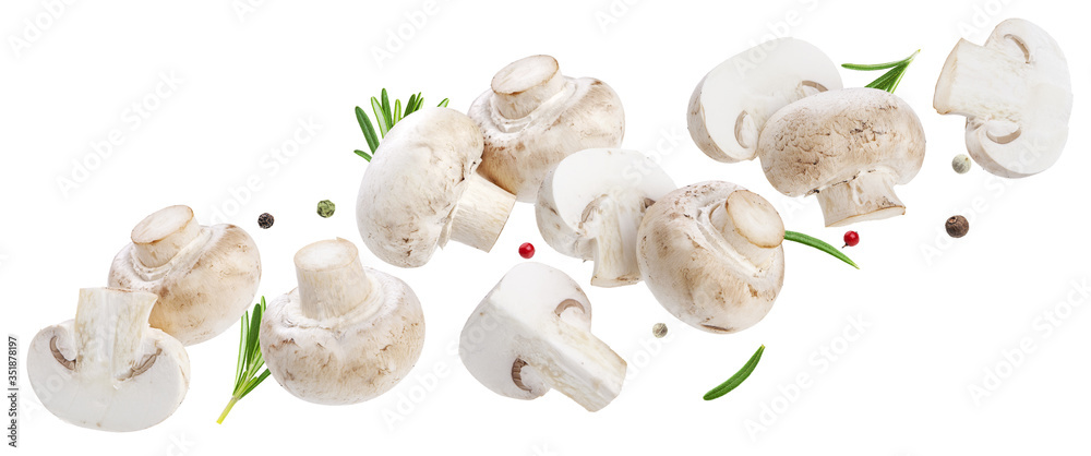 Falling mushrooms collection, champignons isolated on white background