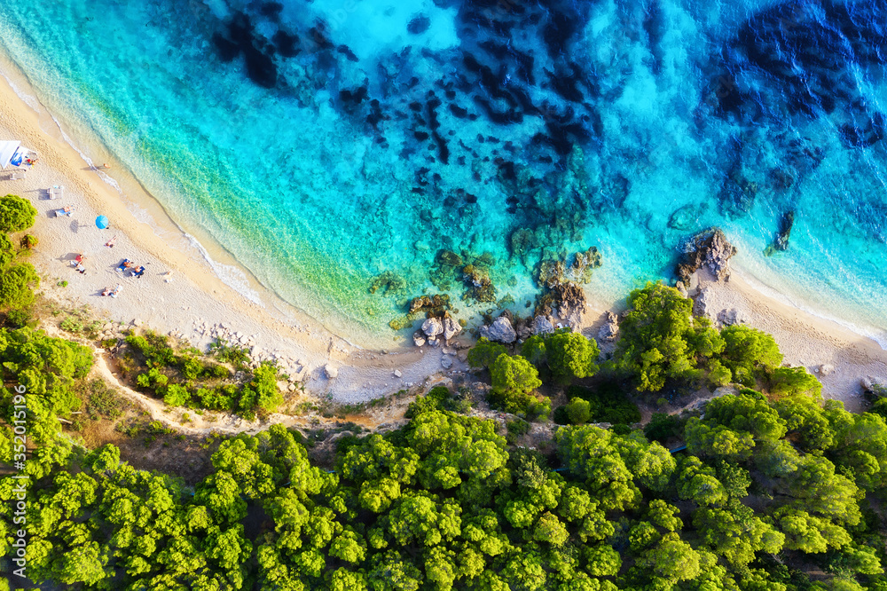 俯视图以海岸为背景。俯视图以绿松石水为背景。夏季海景