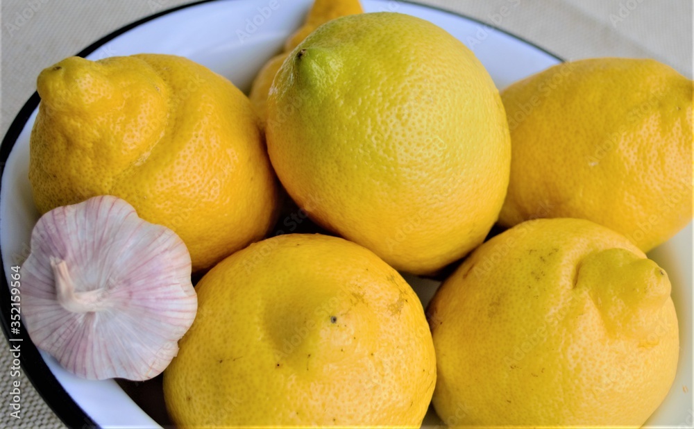 Big bright yellow lemons close-up, with drops of water. And a garlic head. In natural daylight.