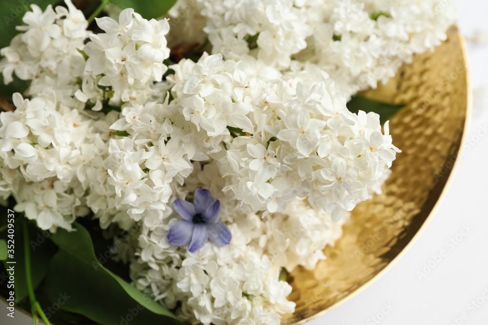 Plate with beautiful lilac flowers on white background, closeup