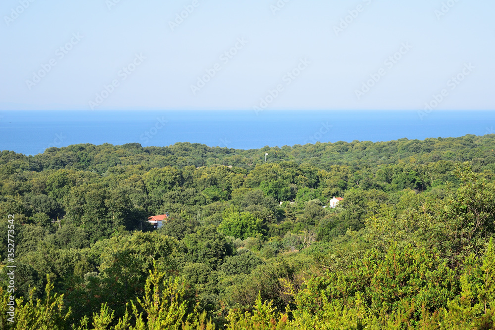 view from the top of the mountain to the coast of the sea over forest in Therma area,  Samothraki is