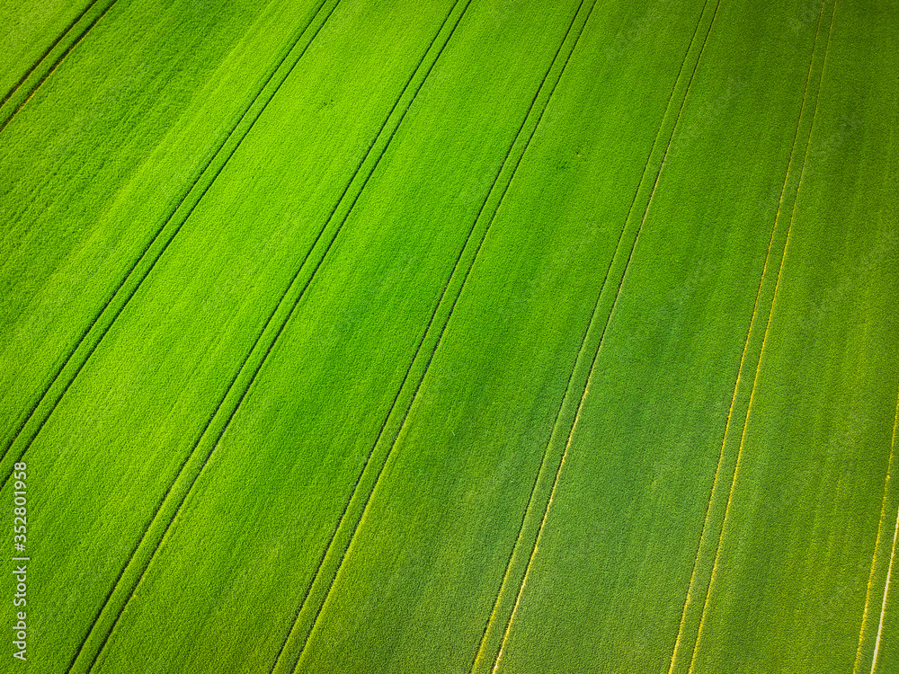 Aerial landscape of green field with lines, Poland