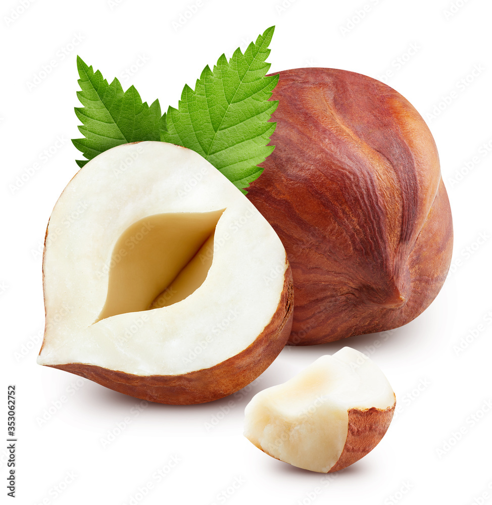 Hazelnut isolated on white background