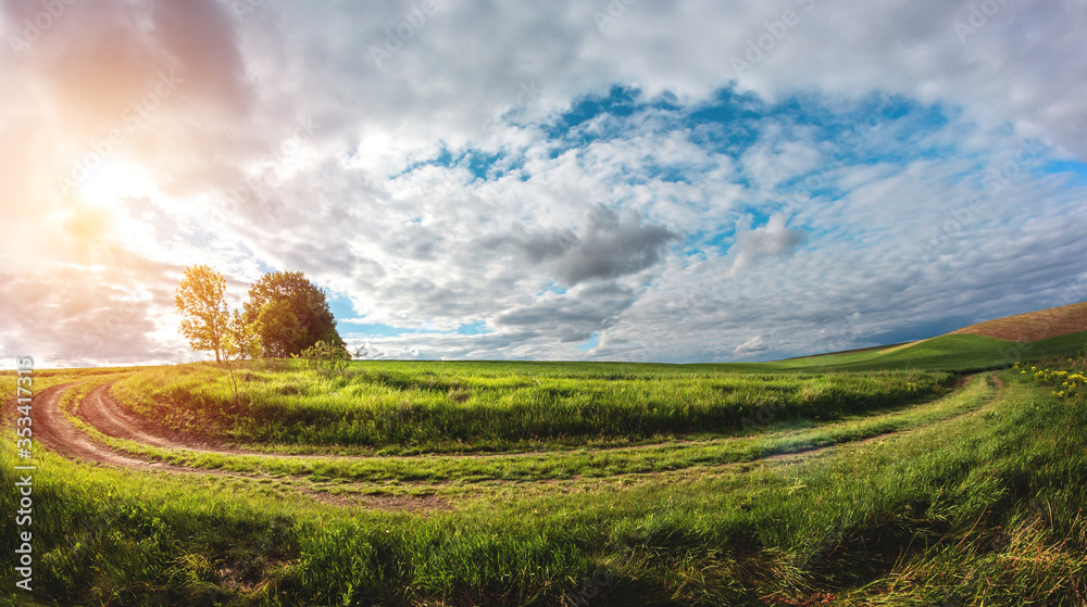 green agricultural field of sprouted young wheat on private agricultural land with trees on the hori