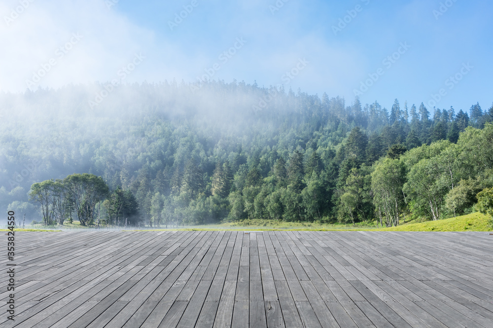 forest background with wooden floor