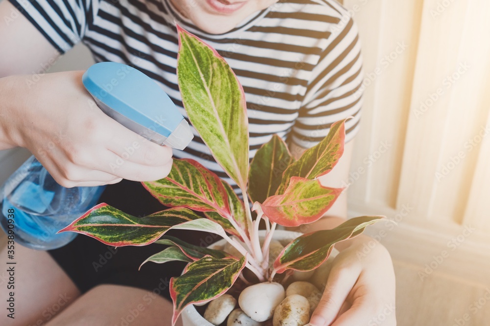 一位年轻的女士在她的房间里用太阳耀斑为植物浇水