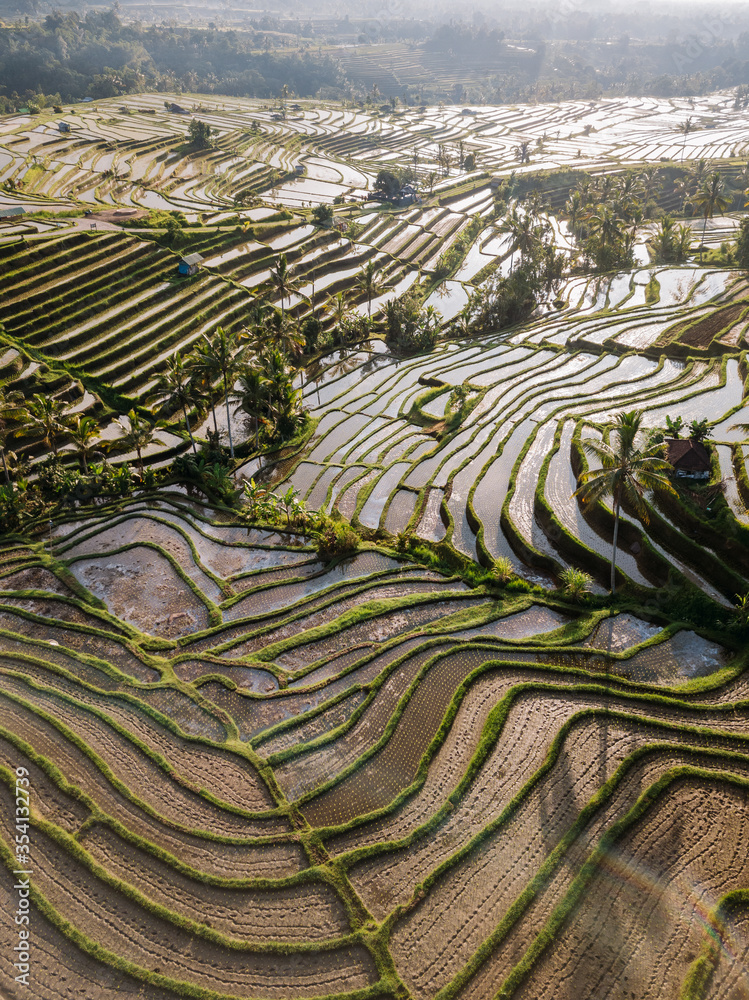 Jatiluwih rice terraces at sunrise in Bali, Indonesia