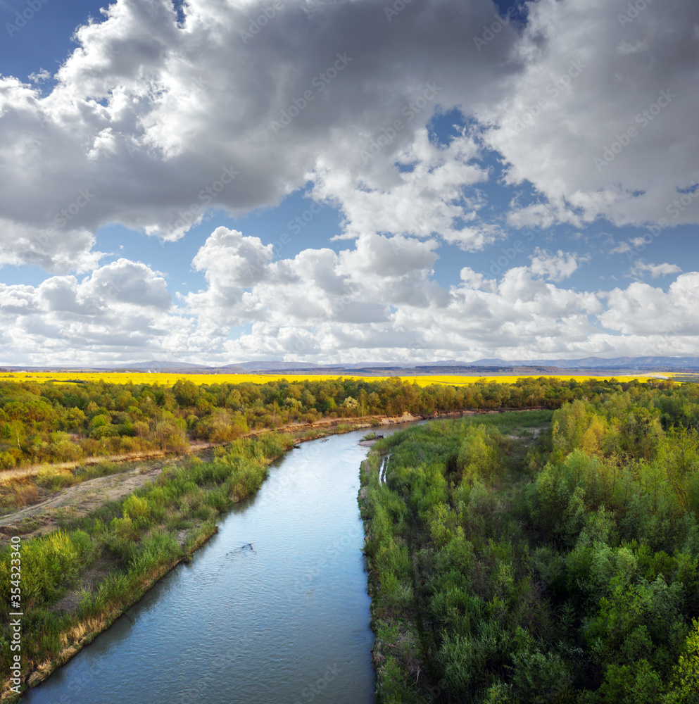 Flight through majestic river Dnister, lush green forest and blooming yellow rapeseed fields at suns