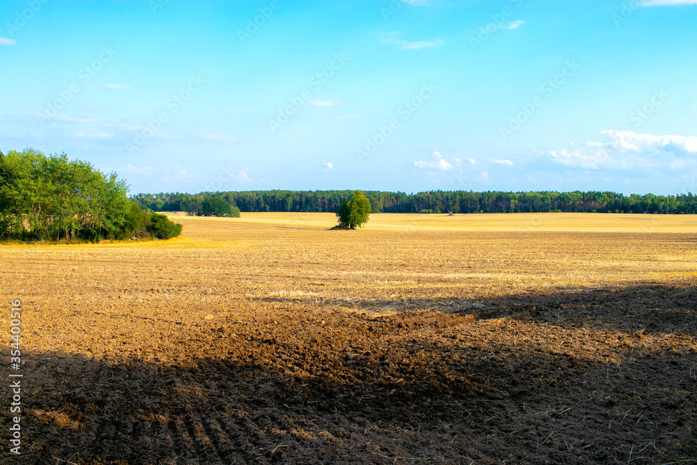 Campo seco después de ser cosechado