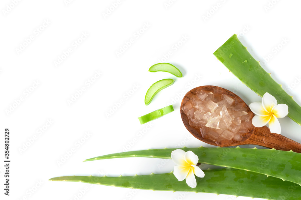 top view fresh aloe vera with slice and flower  isolate on white background