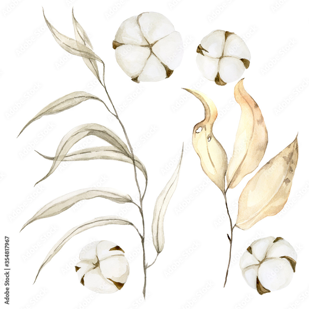 watercolor drawing isolated on white background. Set of willow leaves, dry autumn leaves and cotton.