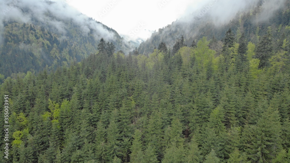 Carpathian mountains in the fog. Mountain peaks among beautiful clouds at summer. Carpathian mountai