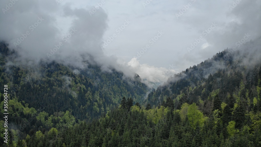 Carpathian mountains in the fog. Mountain peaks among beautiful clouds at summer. Carpathian mountai