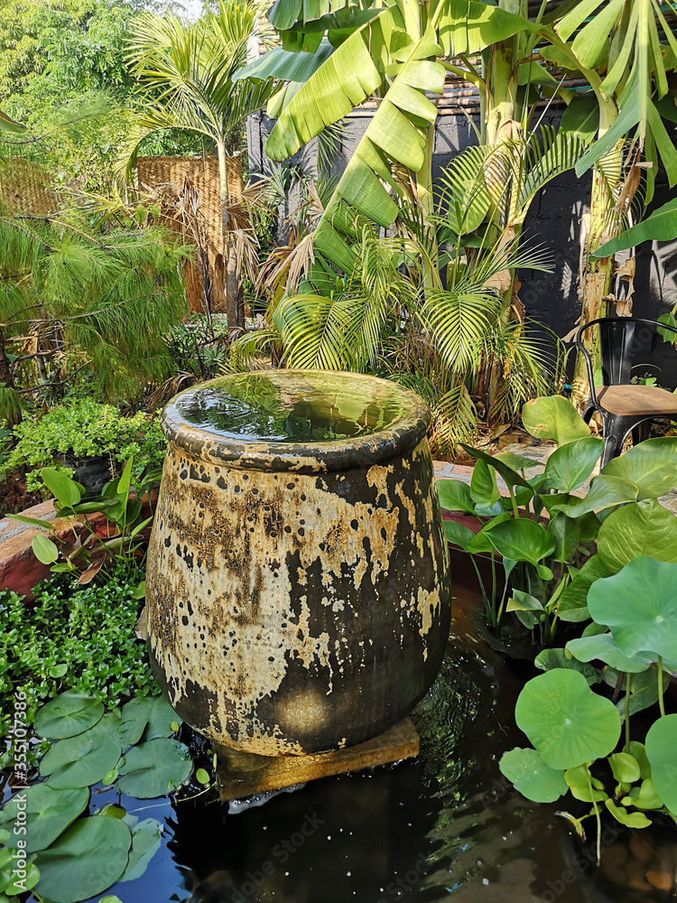 室外绿色花园水池中的水疱溢出。