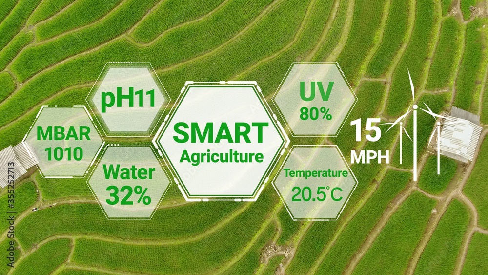 Smart digital agriculture technology by futuristic sensor data collection management by artificial i