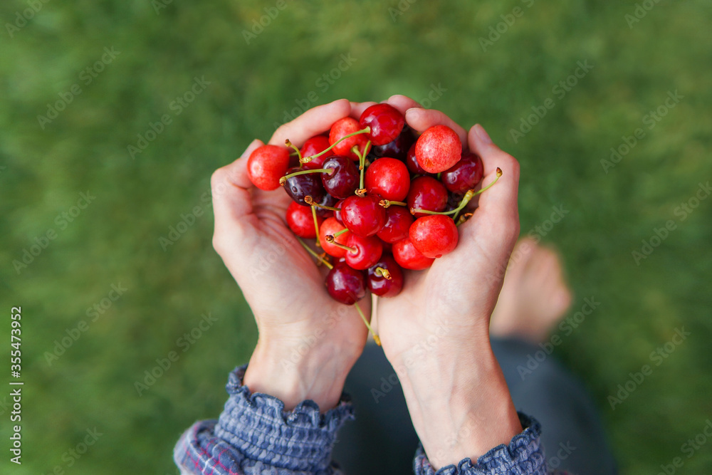 hands holding fresh berries over green natural background