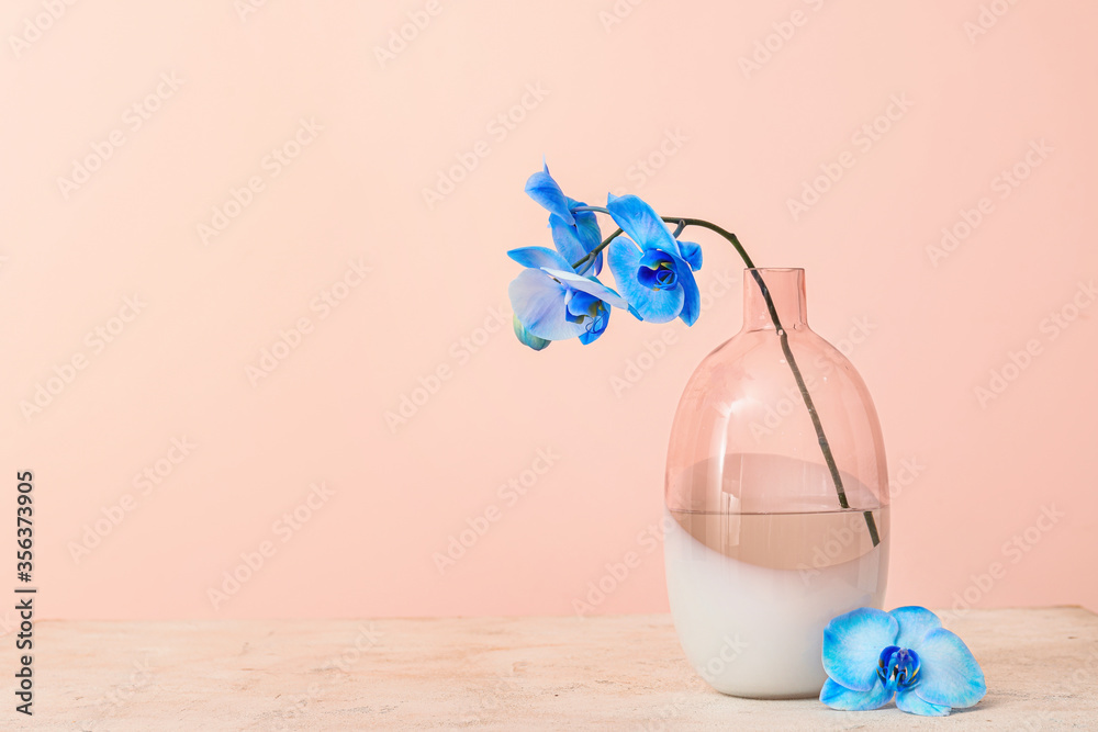 Beautiful orchid flowers in vase on table