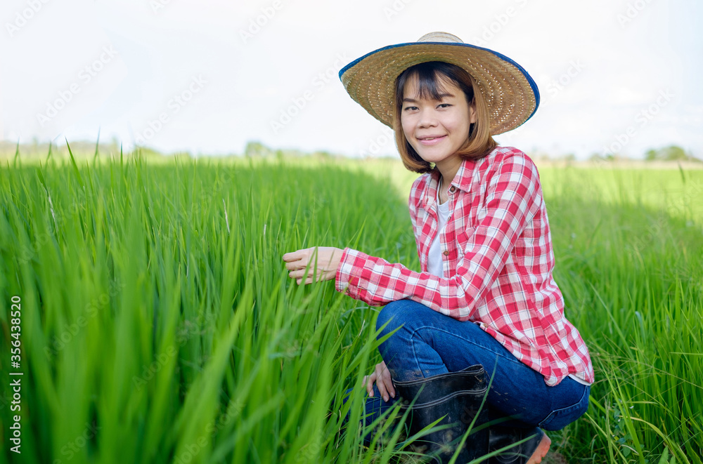 一位身穿红色衬衫、戴着帽子的亚洲农妇坐在绿色稻田里。