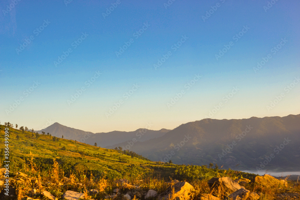 日出时的山谷。自然的夏季景观。蓝天白云在地平线上