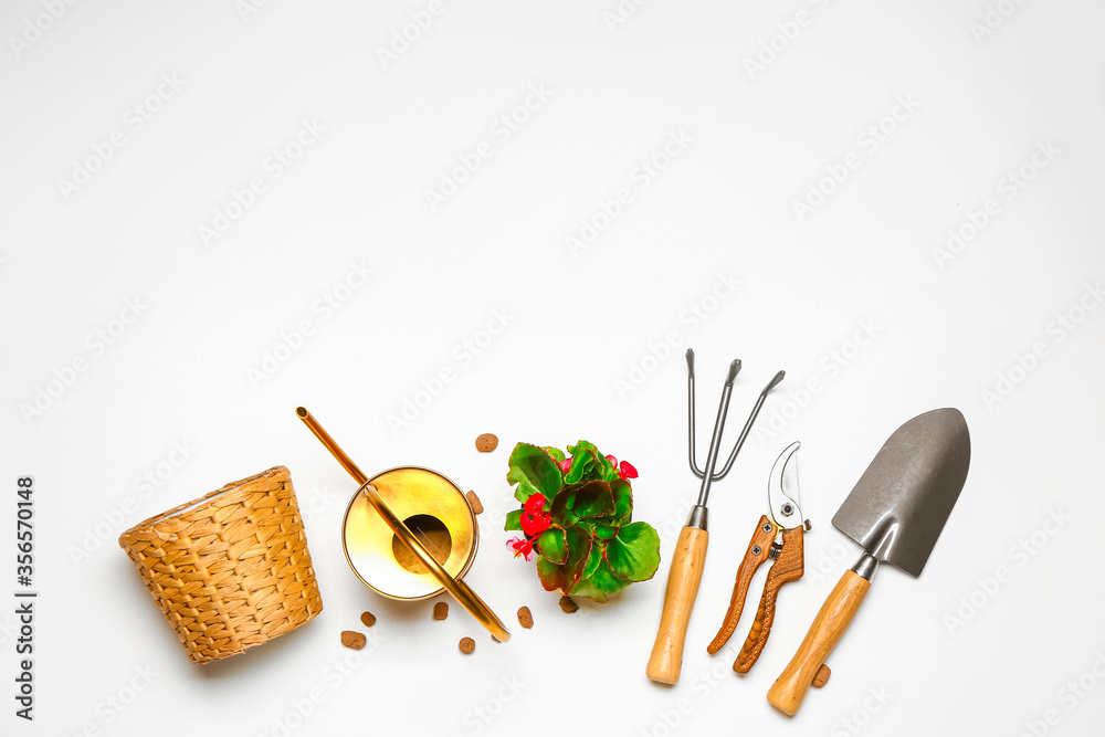 Set of gardening supplies with plant on white background