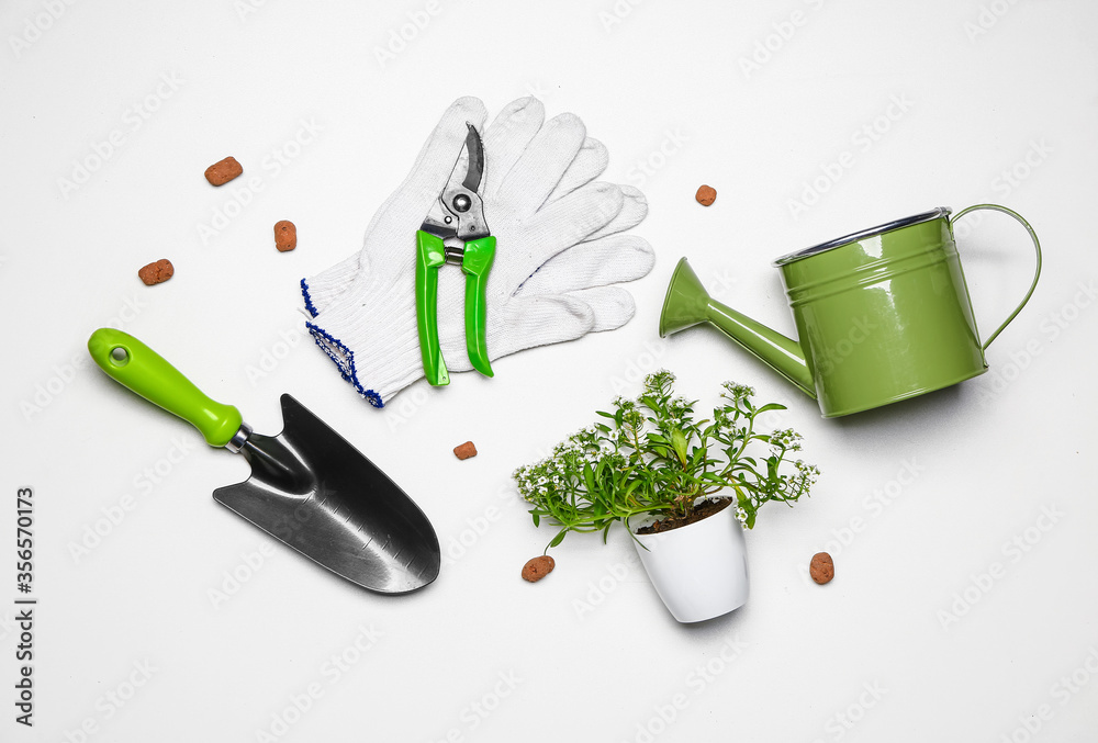 Set of gardening supplies with plant on white background