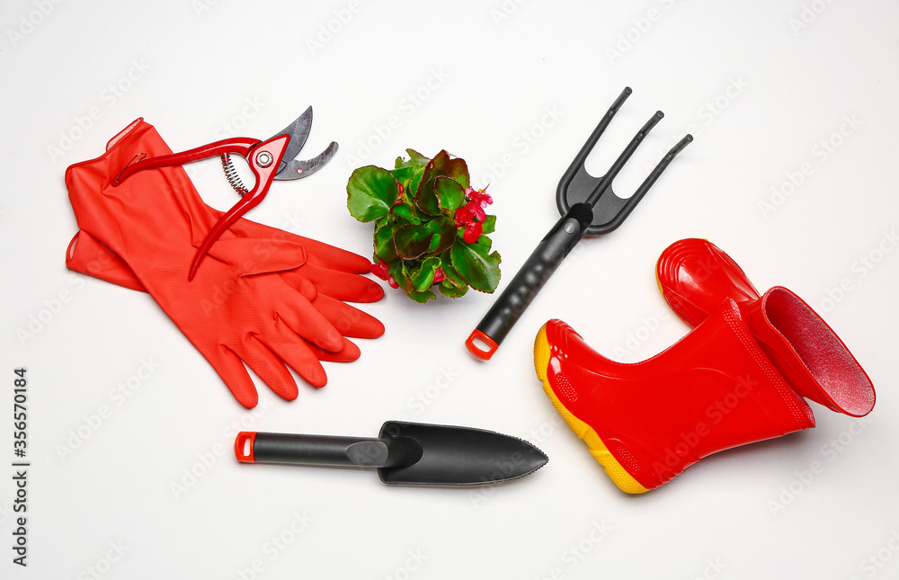 Set of gardening supplies with plant on white background