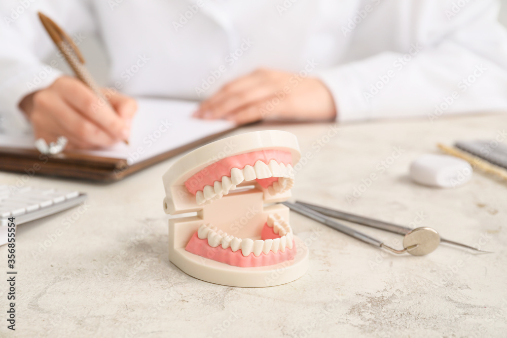 Model of jaw on table of dentist