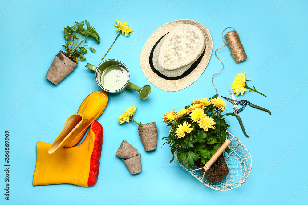 Set of gardening supplies with plants on color background