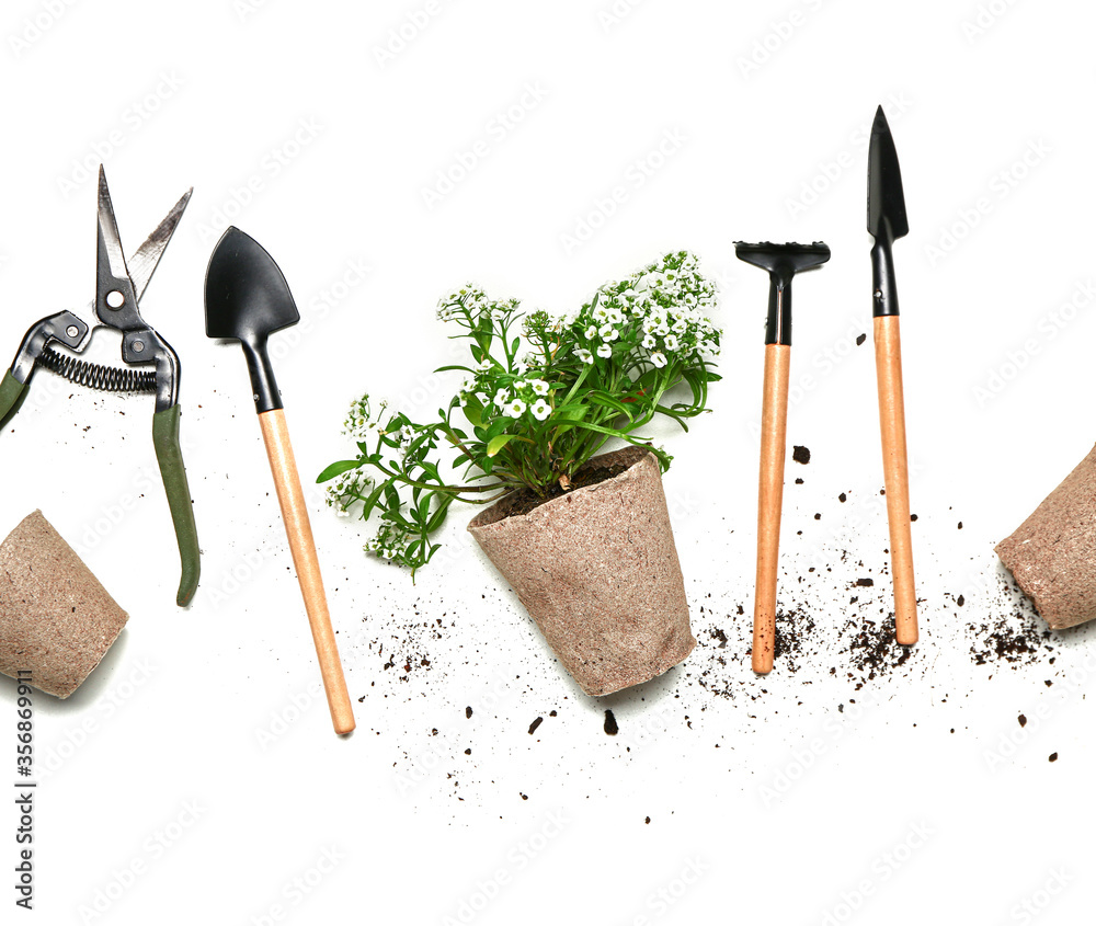 Set of gardening supplies with plant on white background