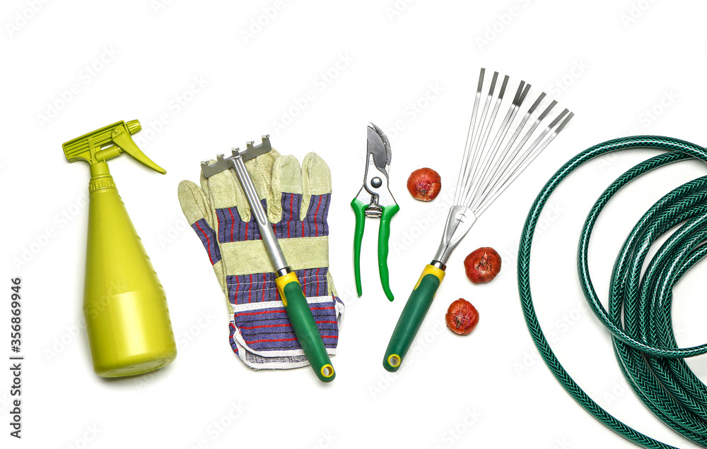 Set of gardening supplies on white background