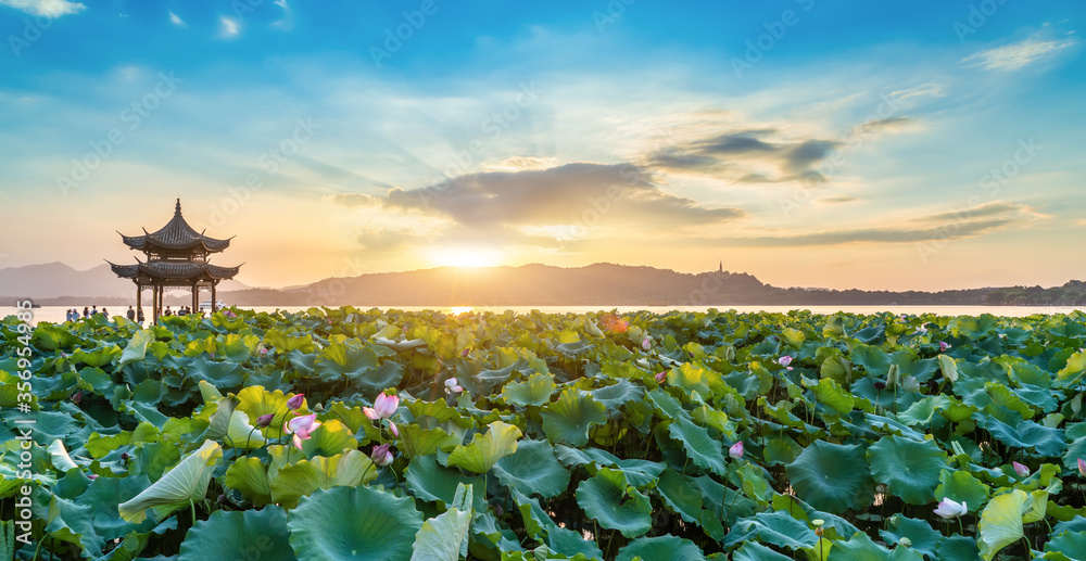 杭州西湖花园自然景观