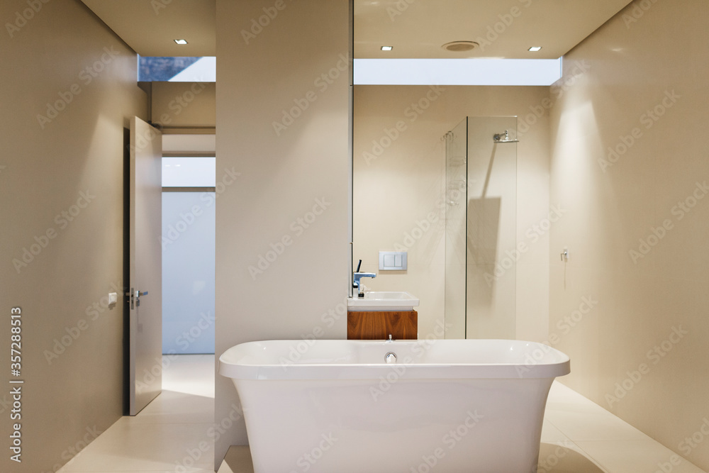 Bathtub, sink and shower in modern bathroom