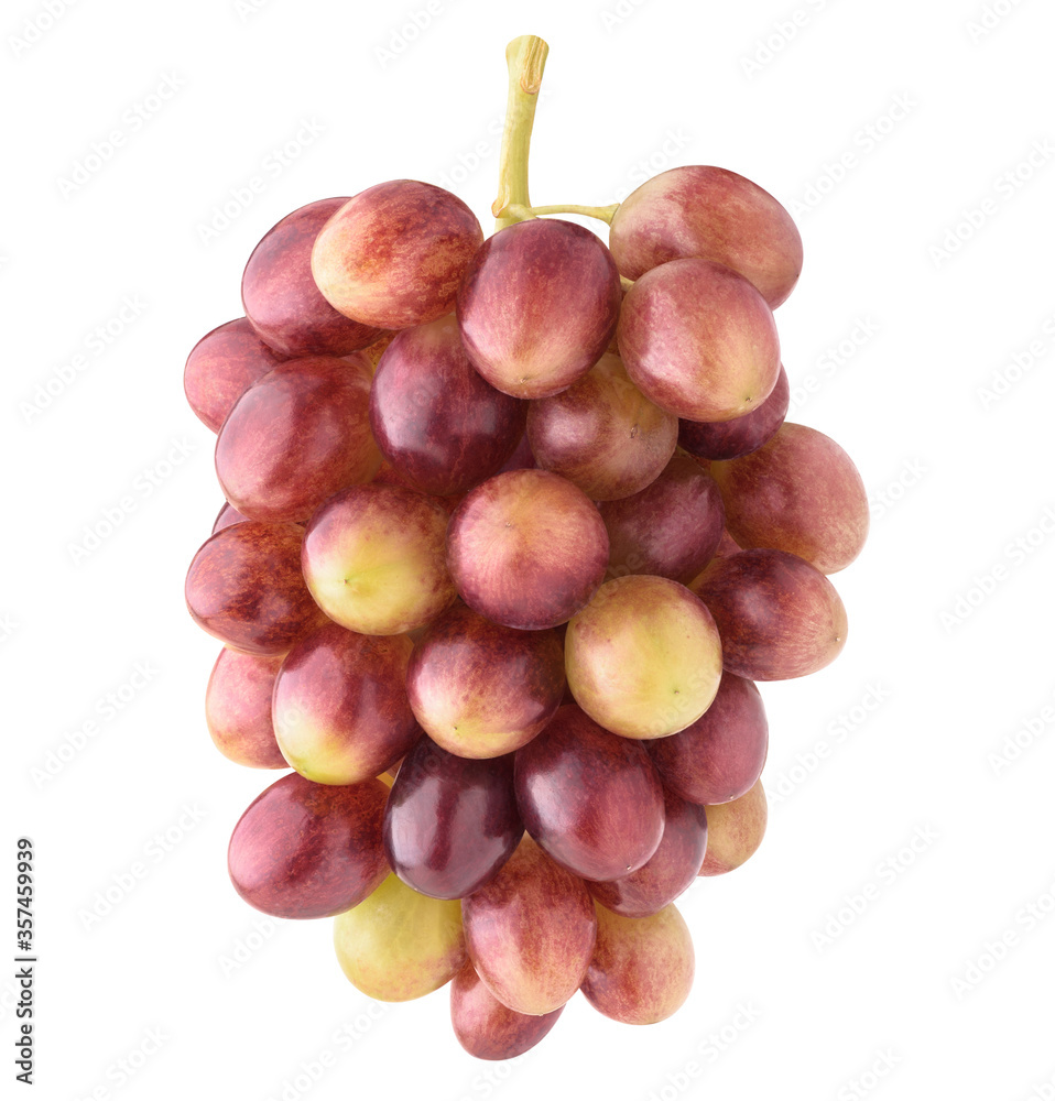 Bunch of Red Globe grapes hanging on vine with leaf isolated on white background with clipping path