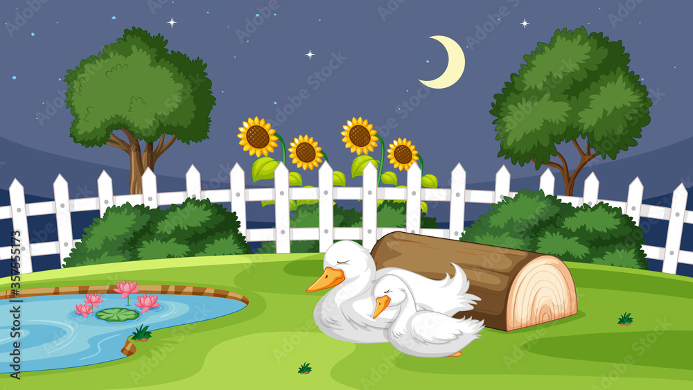 Cute duck sleeping on grass