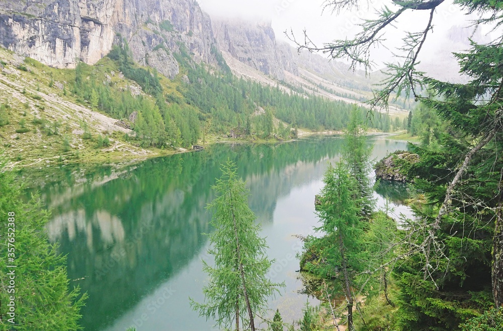 阿尔卑斯山夏季景观。绿色的山湖，前景中的高大云杉（焦点模糊），以及