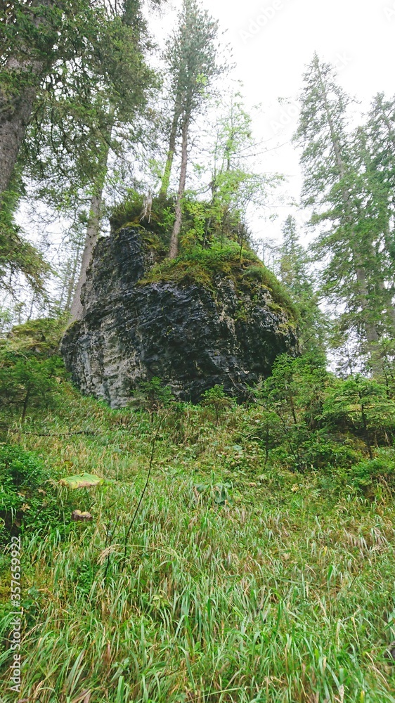 Large alpine boulder overgrown with trees